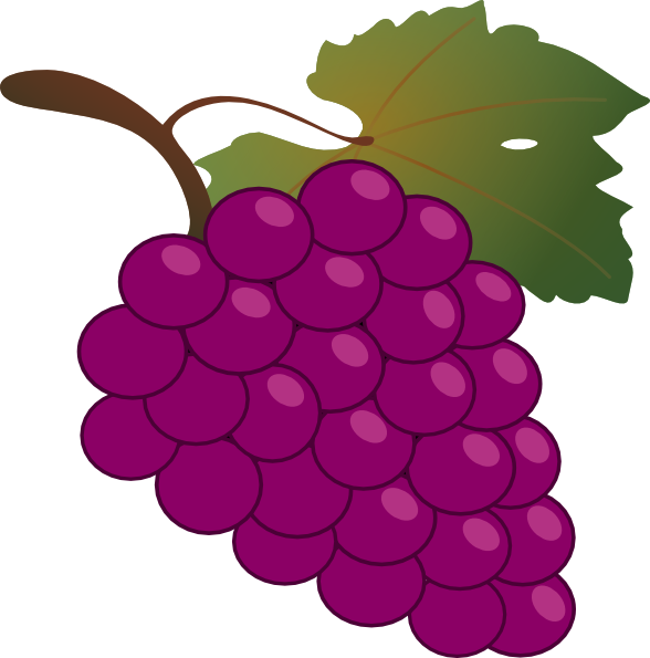 Free Cartoon Grapes Cliparts, Download Free Cartoon Grapes Cliparts png