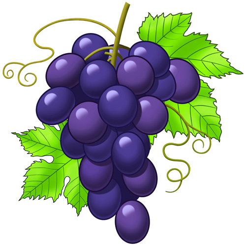 cartoon images of grapes - Clip Art Library