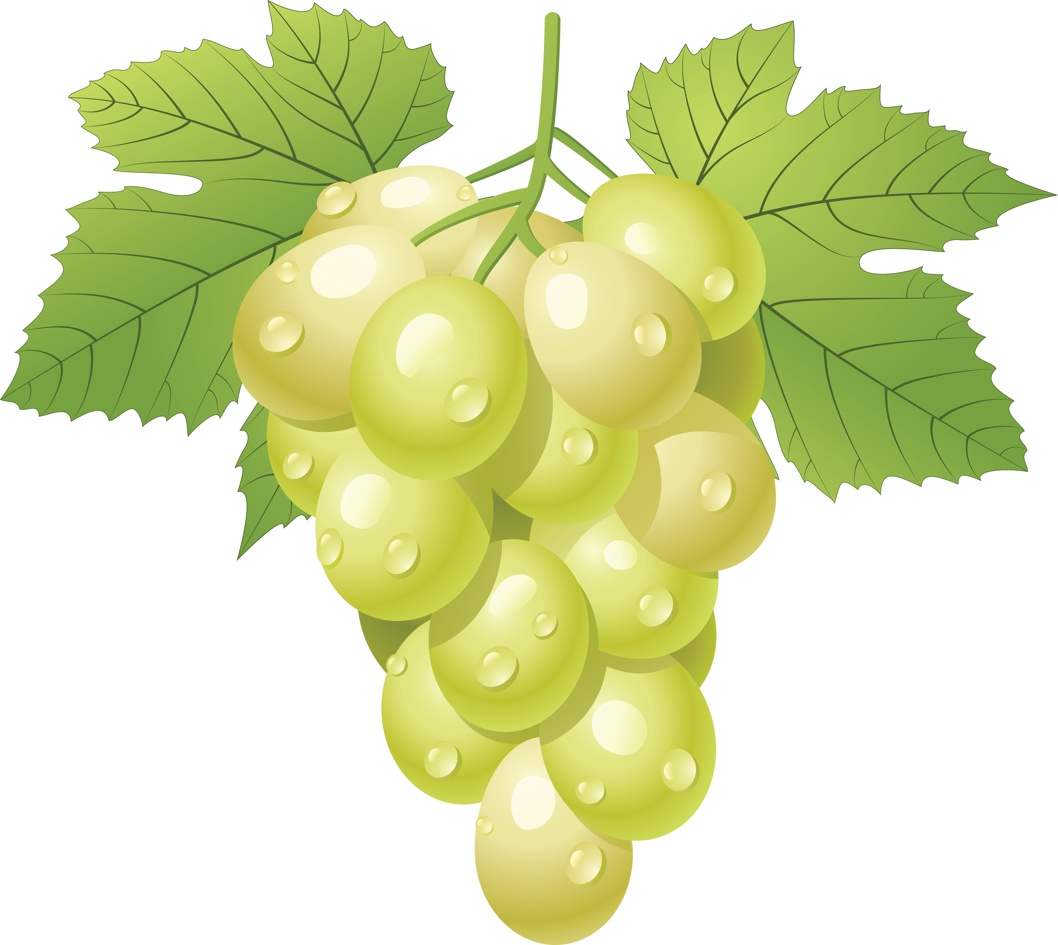 Free Cartoon Grapes Cliparts, Download Free Cartoon Grapes Cliparts png