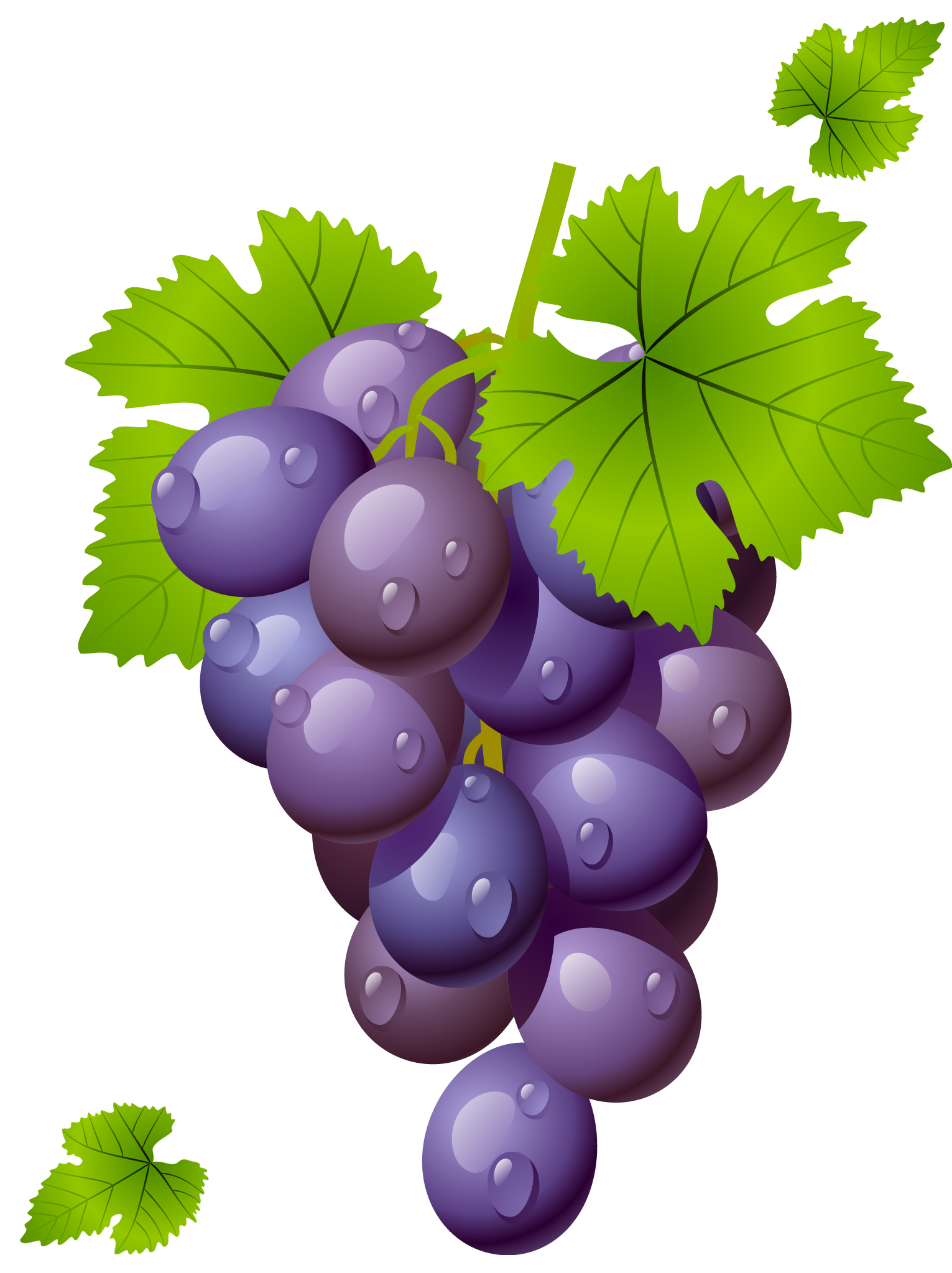 Free Cartoon Grapes Cliparts, Download Free Cartoon Grapes Cliparts png