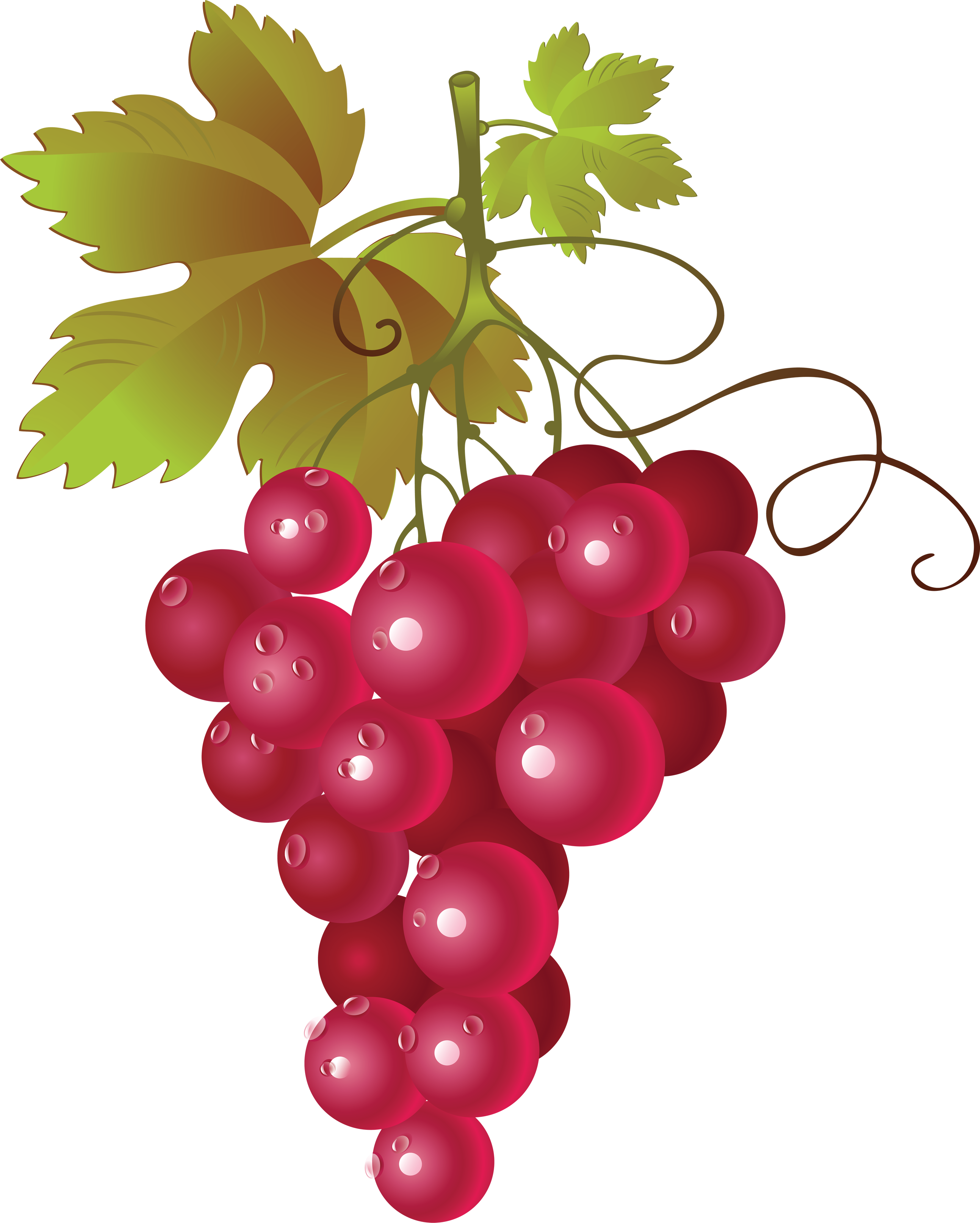 Free Cartoon Grapes Cliparts, Download Free Cartoon Grapes Cliparts png