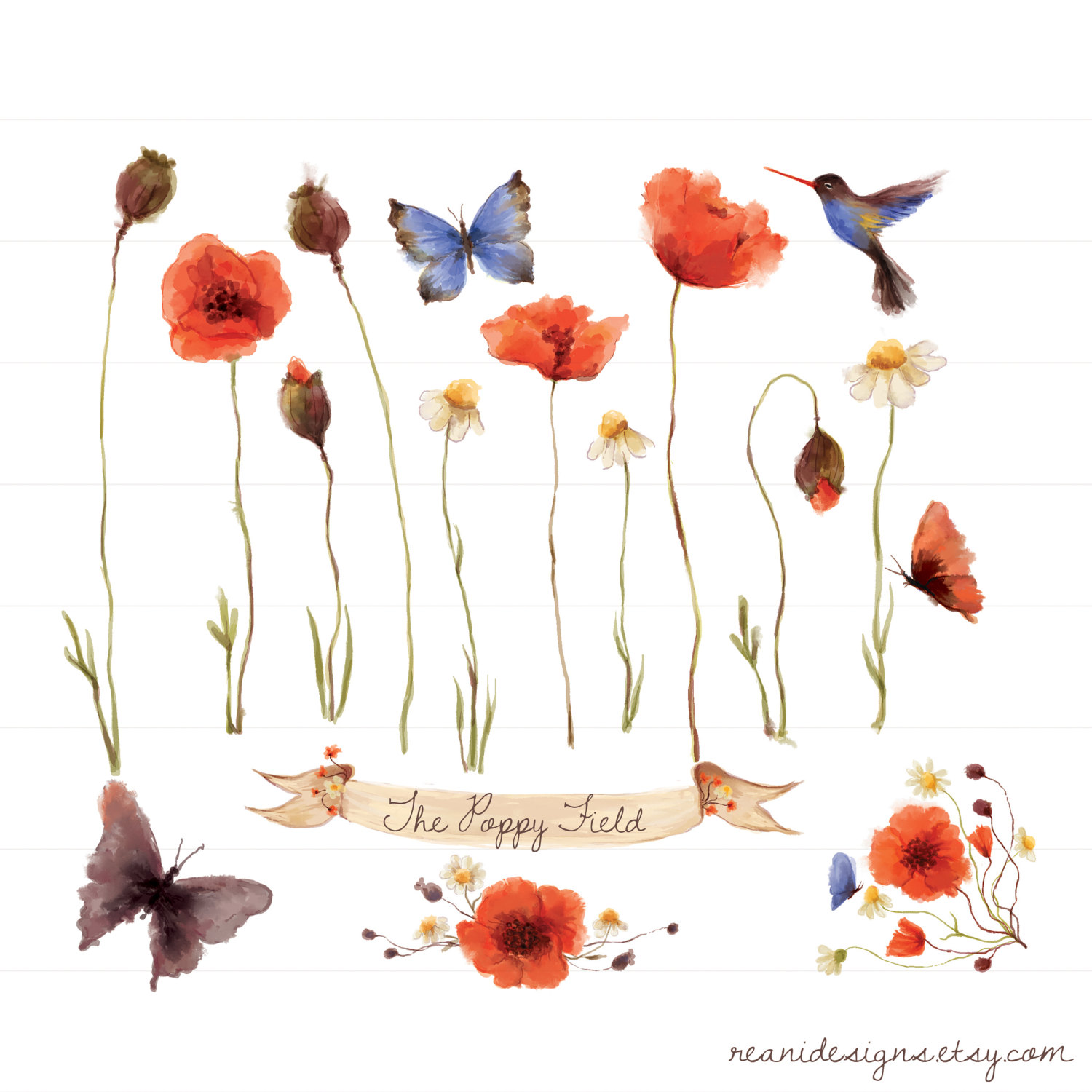Watercolor Poppy Flower Clip Art Clipart Set Field by ReaniDesigns 