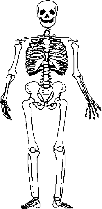 Skeleton Clipart 