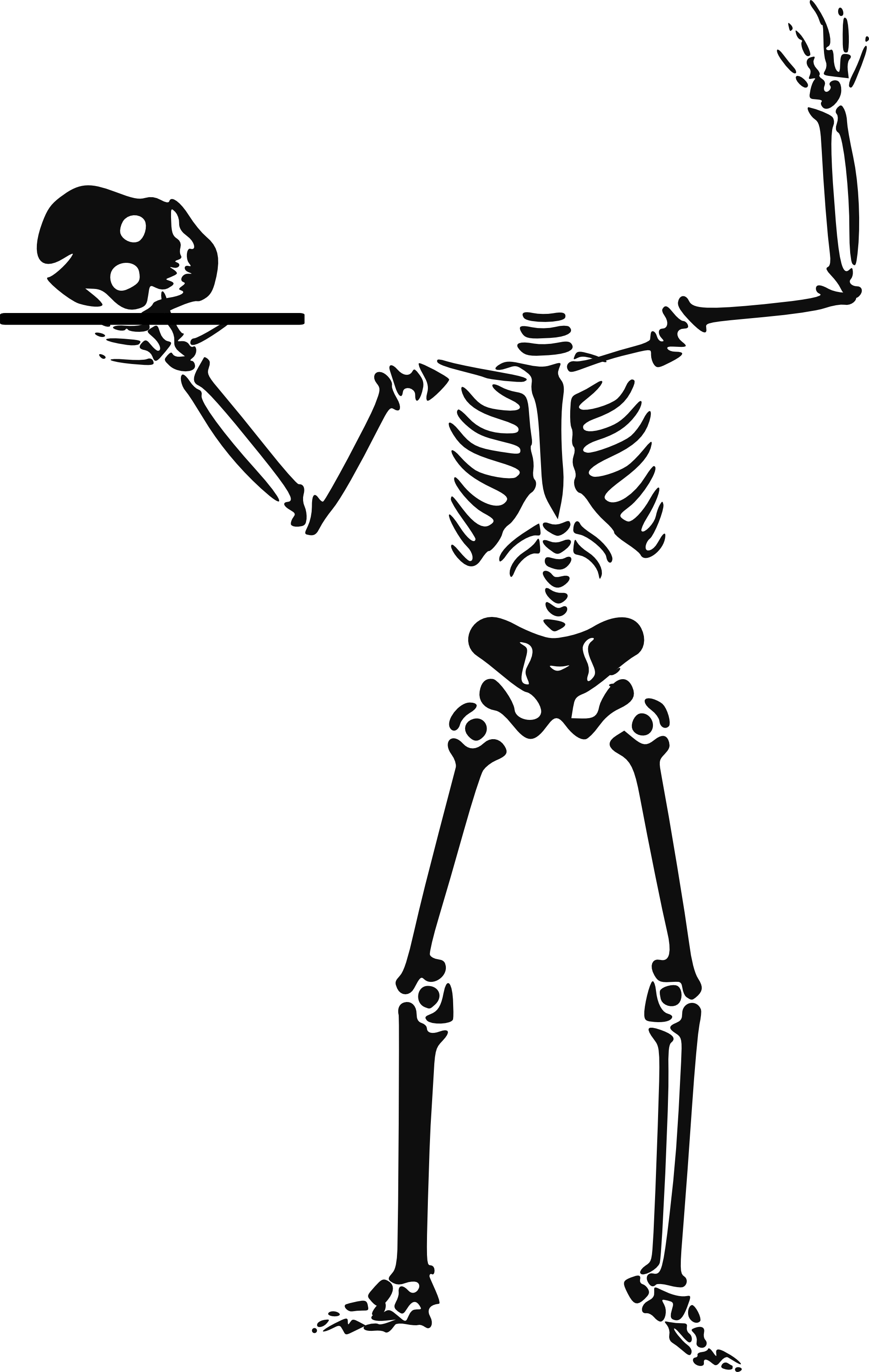 Halloween Skeleton Clipart 