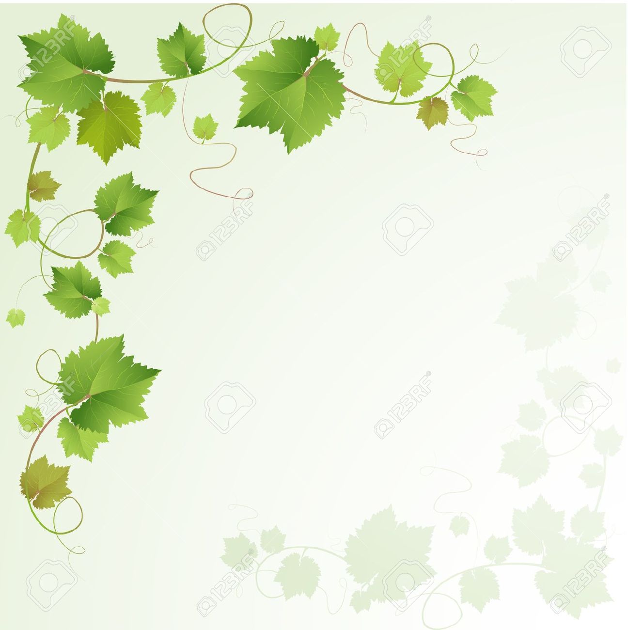Grape leaves clipart transparent background 