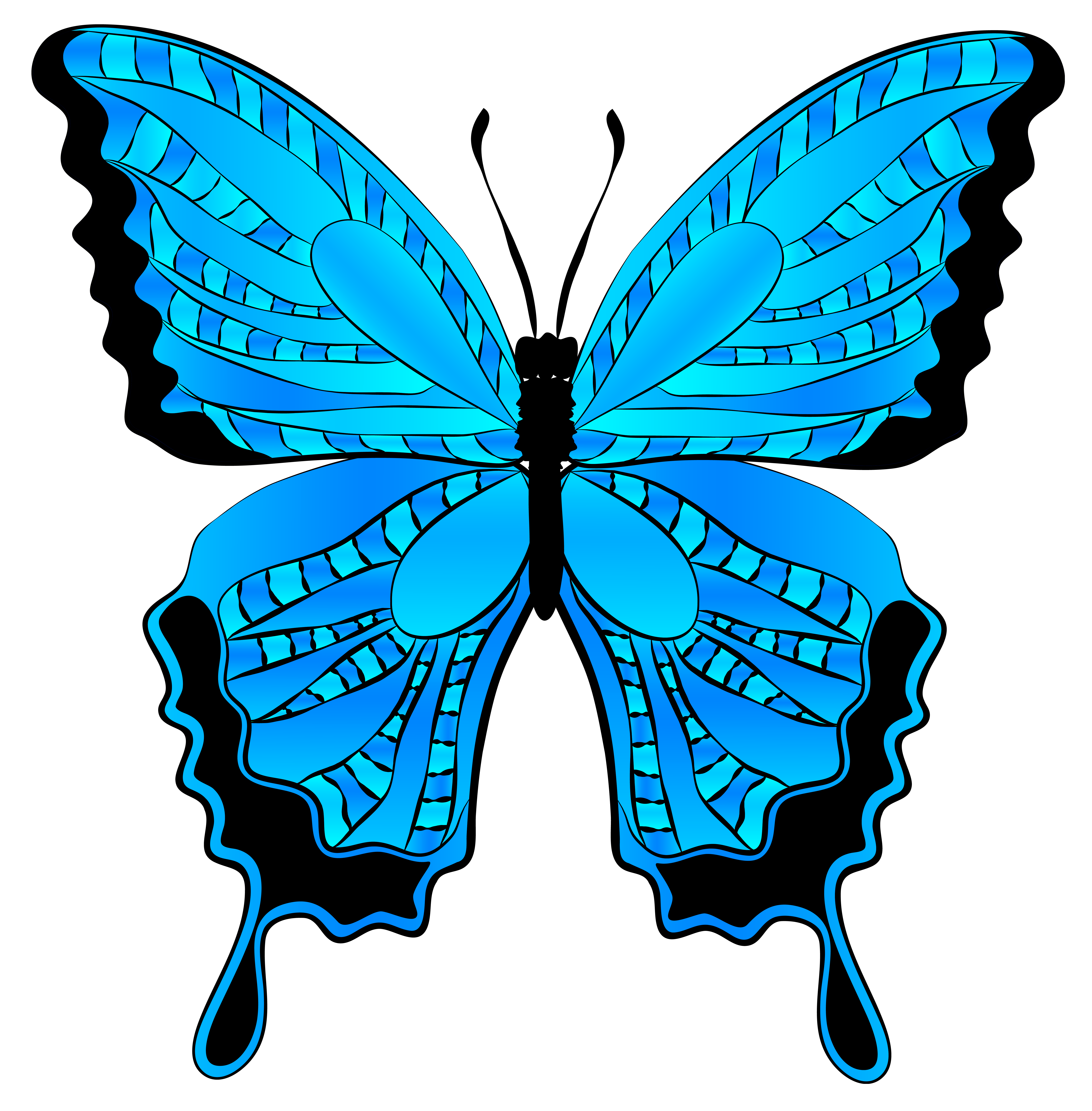 Butterfly blue clipart 