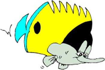 Cartoon Fish 