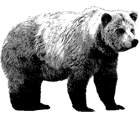 Grizzly Bear Black And White Clipart 