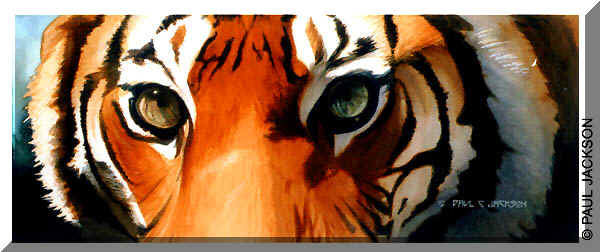 Image of Tiger Eyes Clipart Tiger Eyes Black And White 