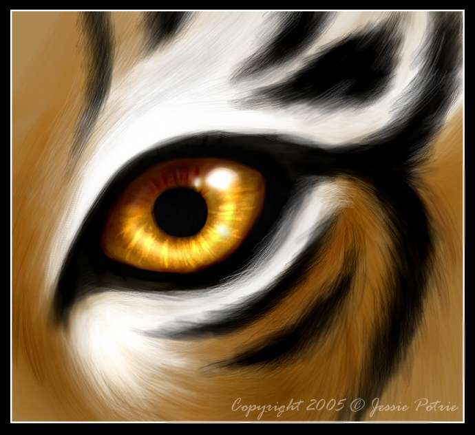 Image of Tiger Eyes Clipart Tiger Eyes Clipart 
