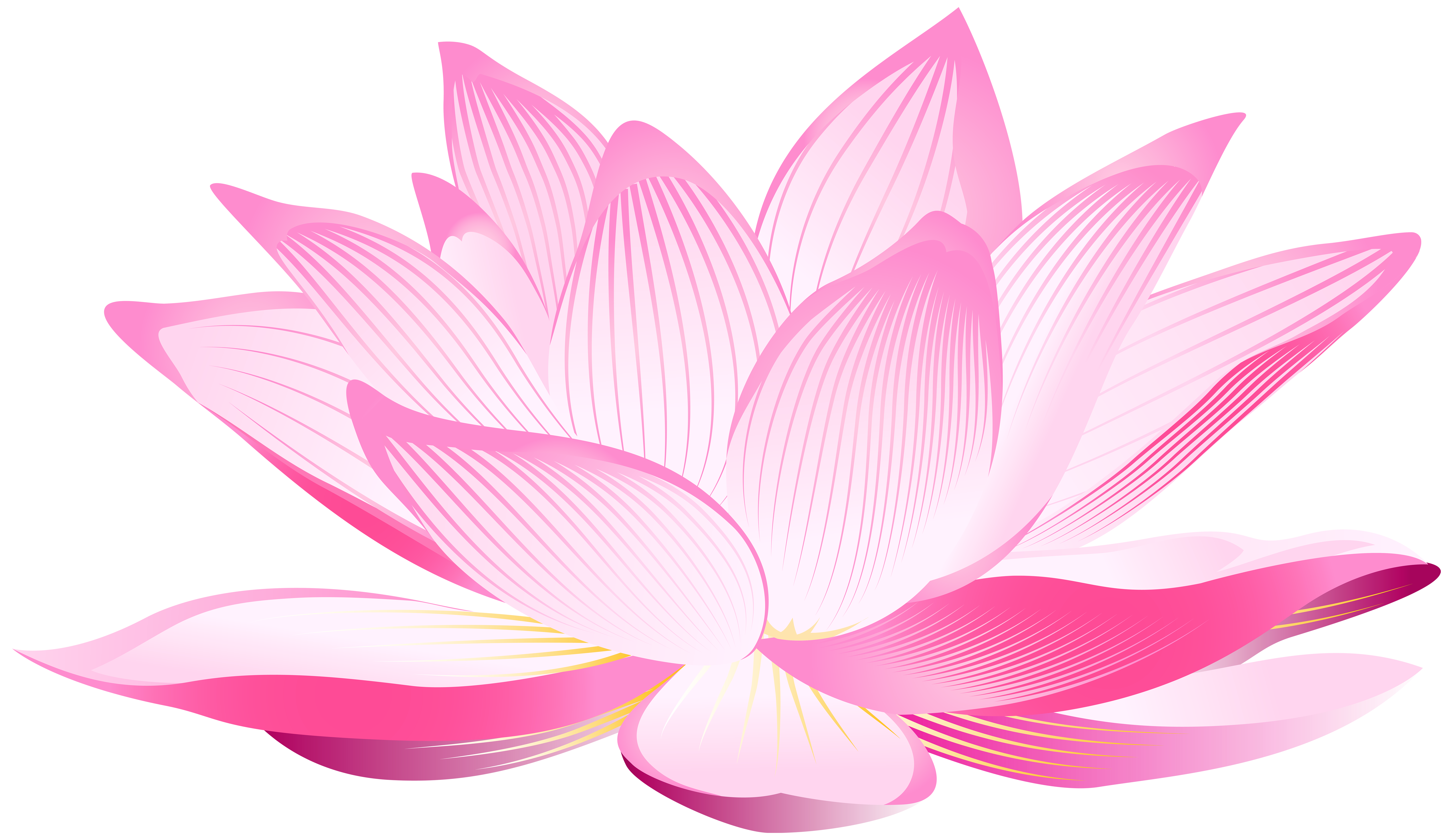 Lotus Flower PNG Clip Art Image 