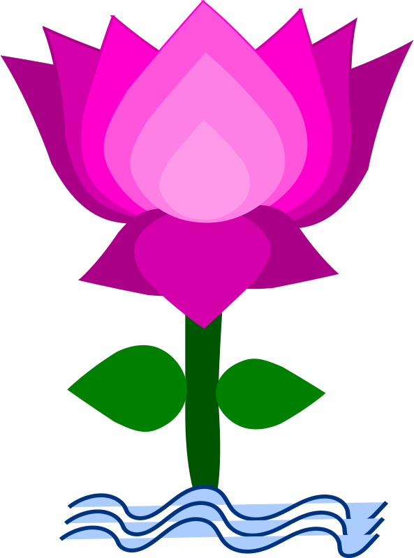 Free Clip Art Lotus Flower 