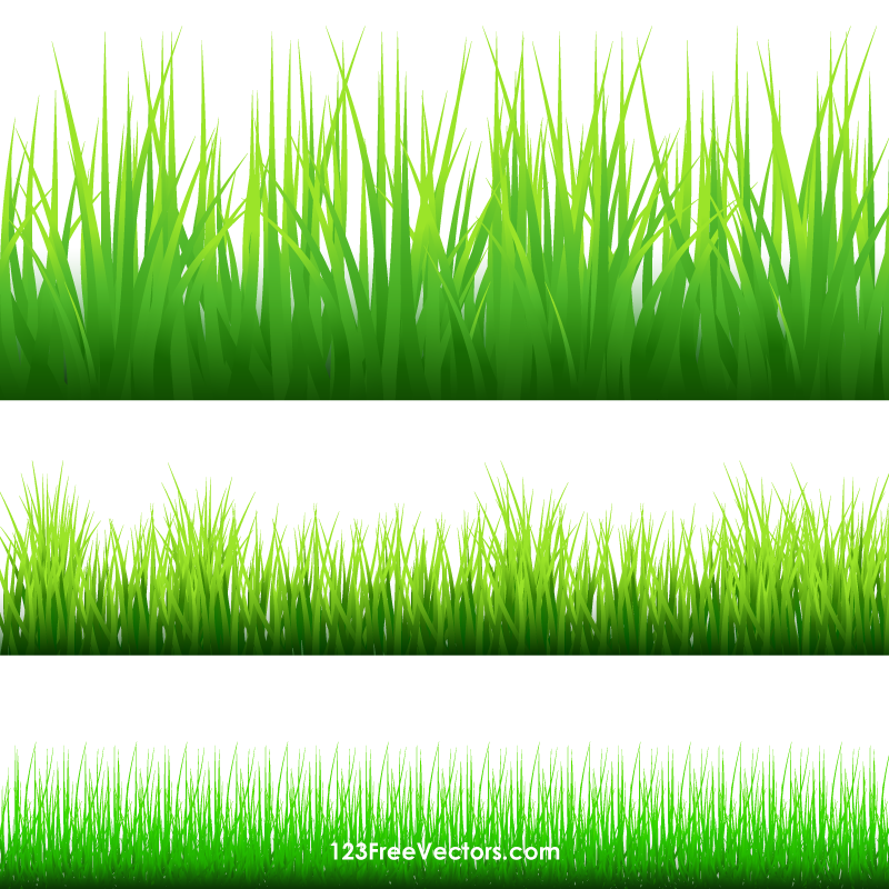 Clipart border grass 