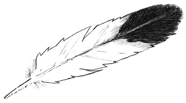 Eagle feather clipart 