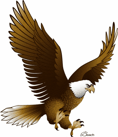 American eagle clipart 