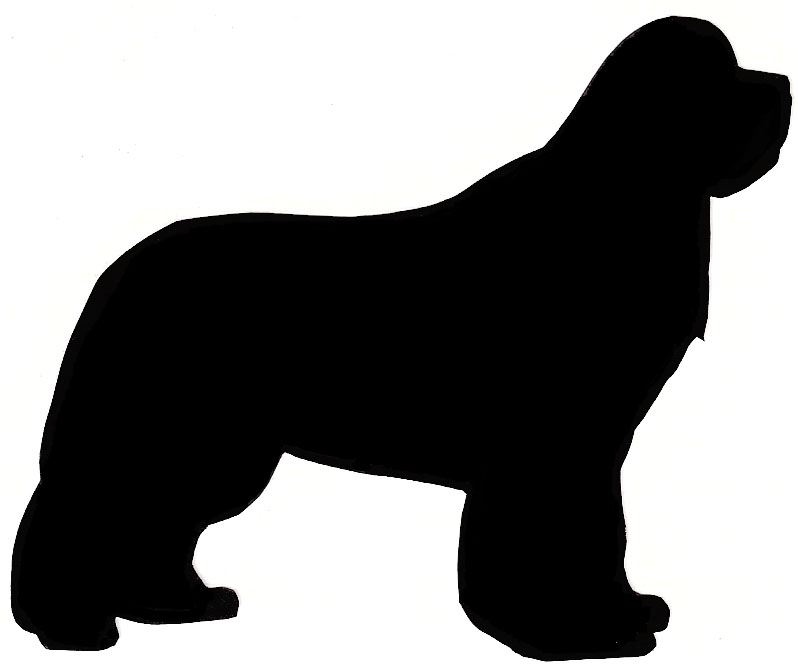 Newfoundland Dog Clipart 