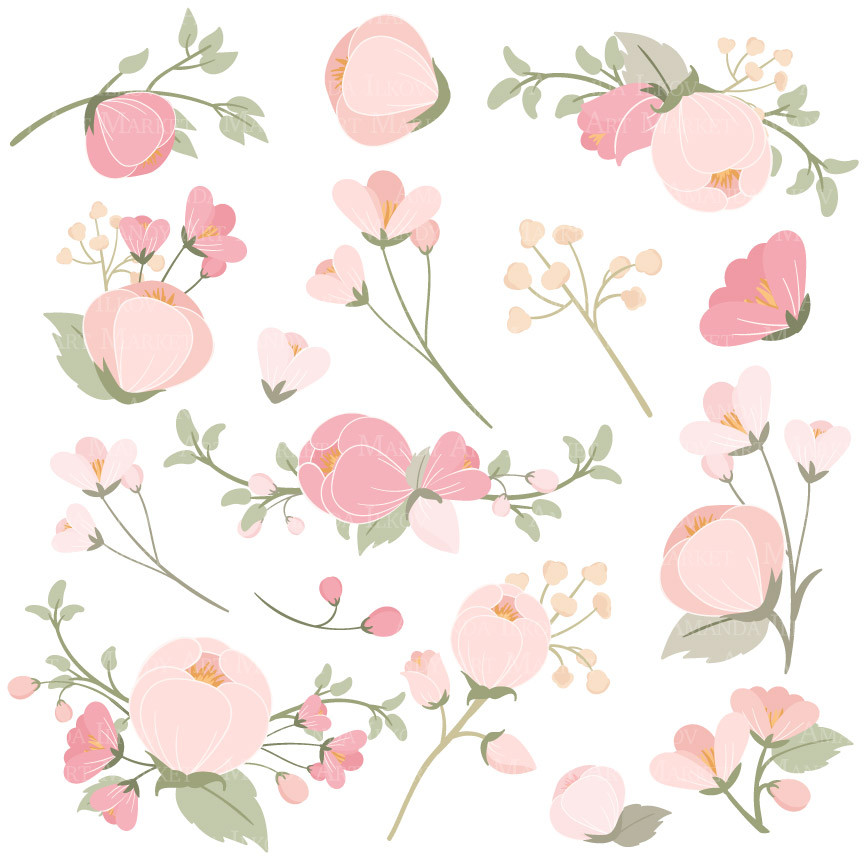 Flower Clipart in Soft Pink � Mandy Art Market 