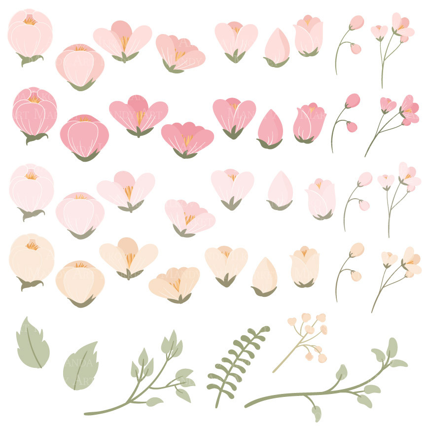Flower Clipart in Soft Pink � Mandy Art Market 