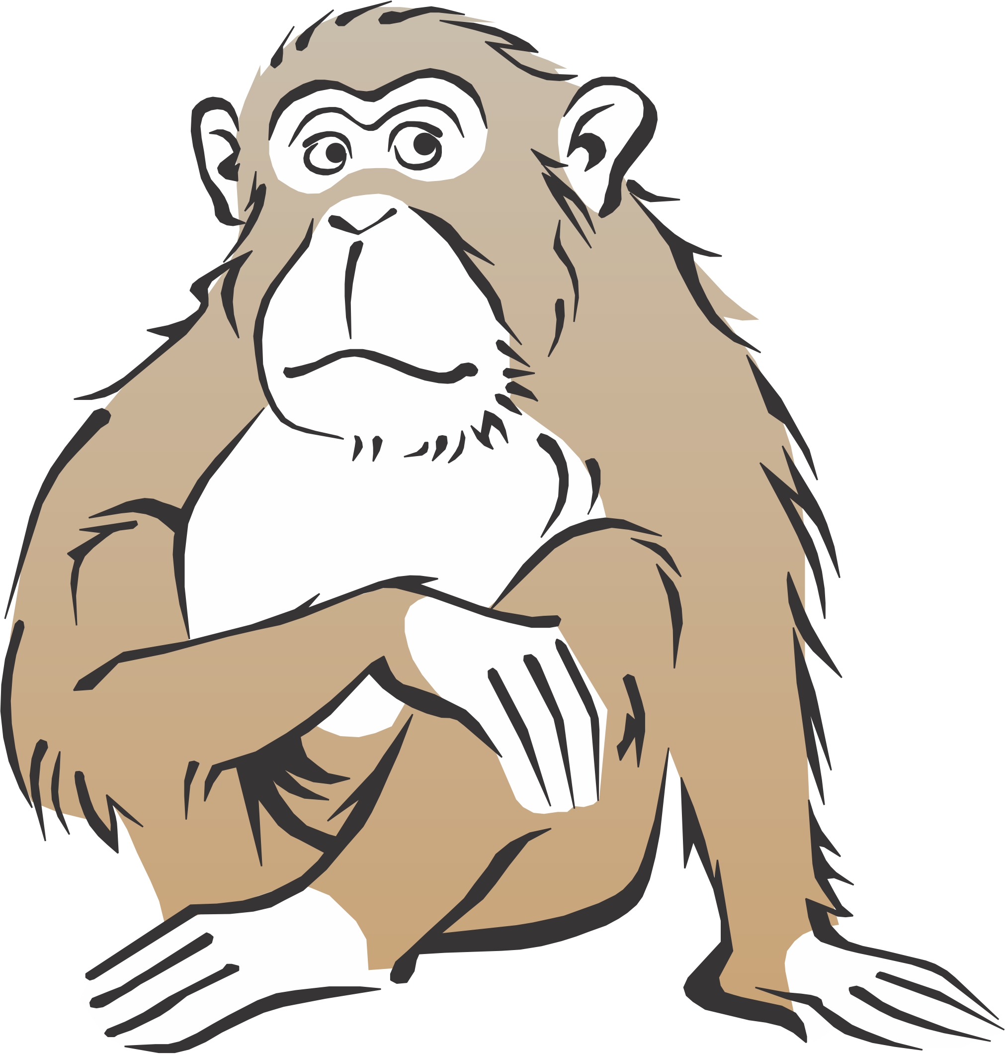 Free Cartoon Monkey Cliparts, Download Free Cartoon Monkey Cliparts png