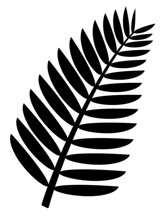 Palm frond clip art free. Transparent background. This is a more 