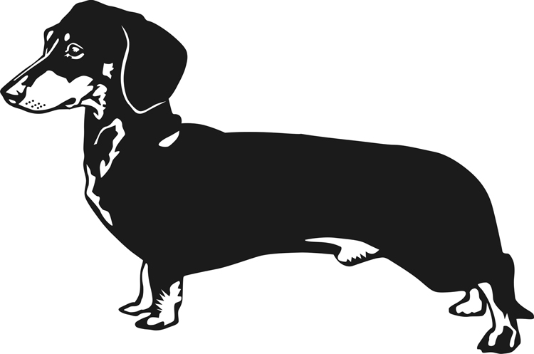 On Board Dachshund Clipart 