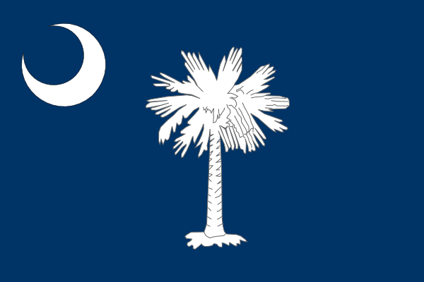 South Carolina Flag Vector 