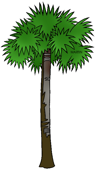 Vector South Carolina Palmetto Tree 