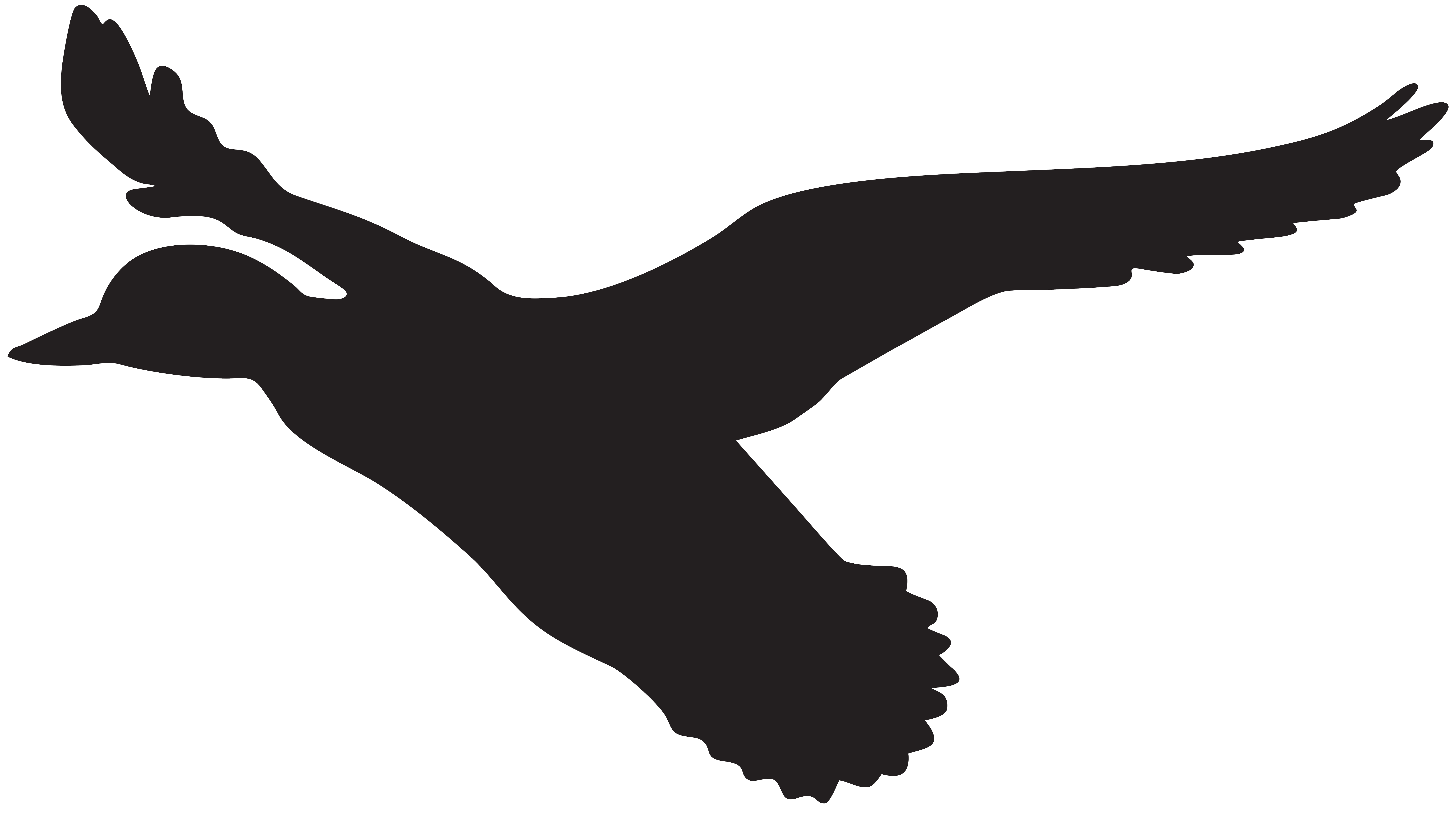 flying duck silhouette