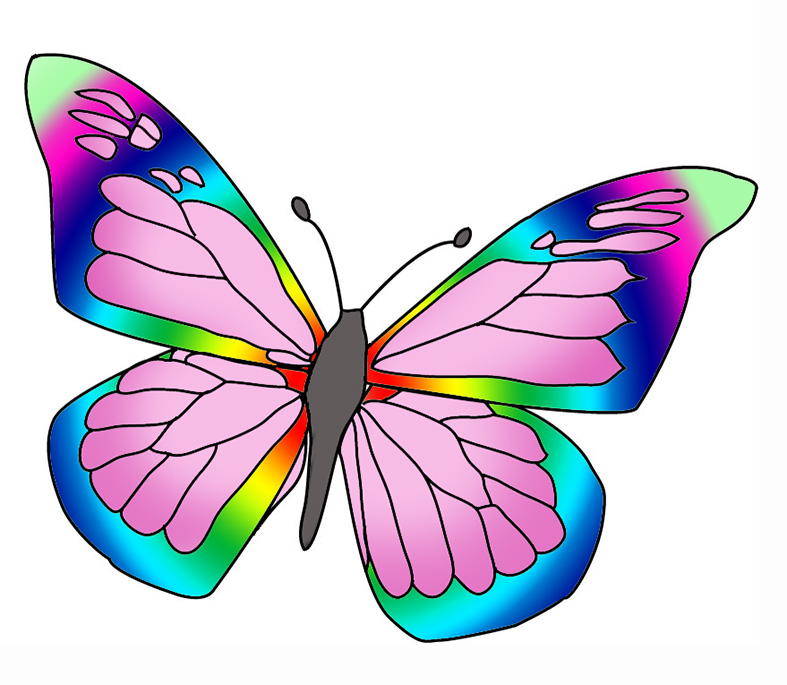 Colorful butterflies clipart 