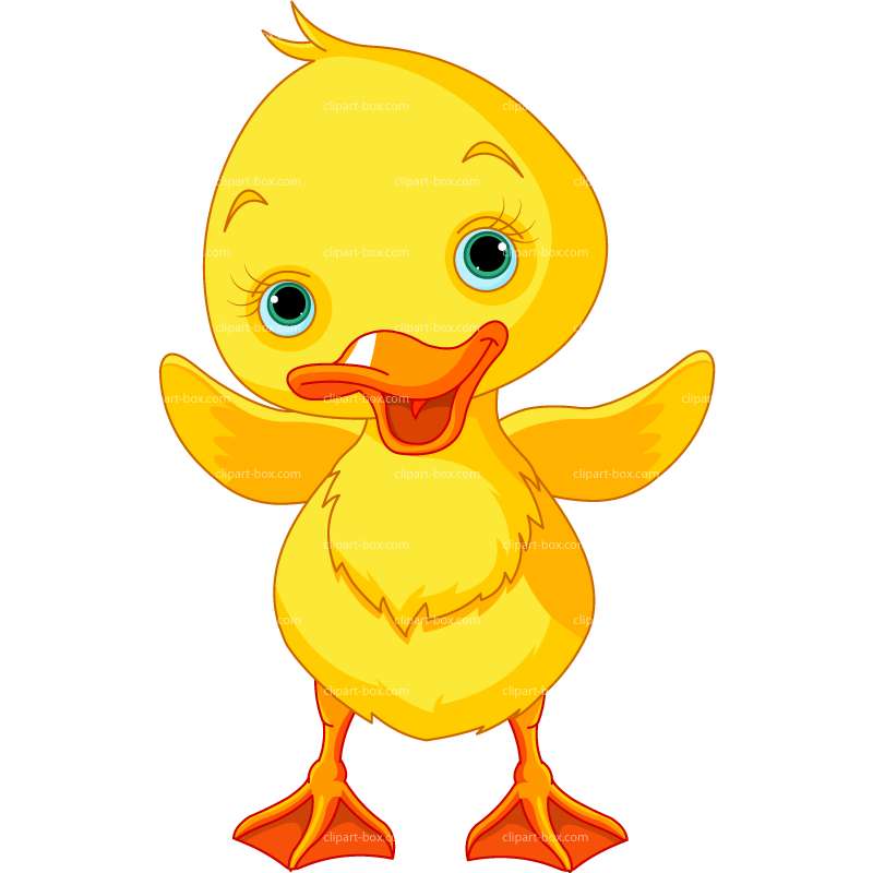 yellow duckling clipart - photo #20