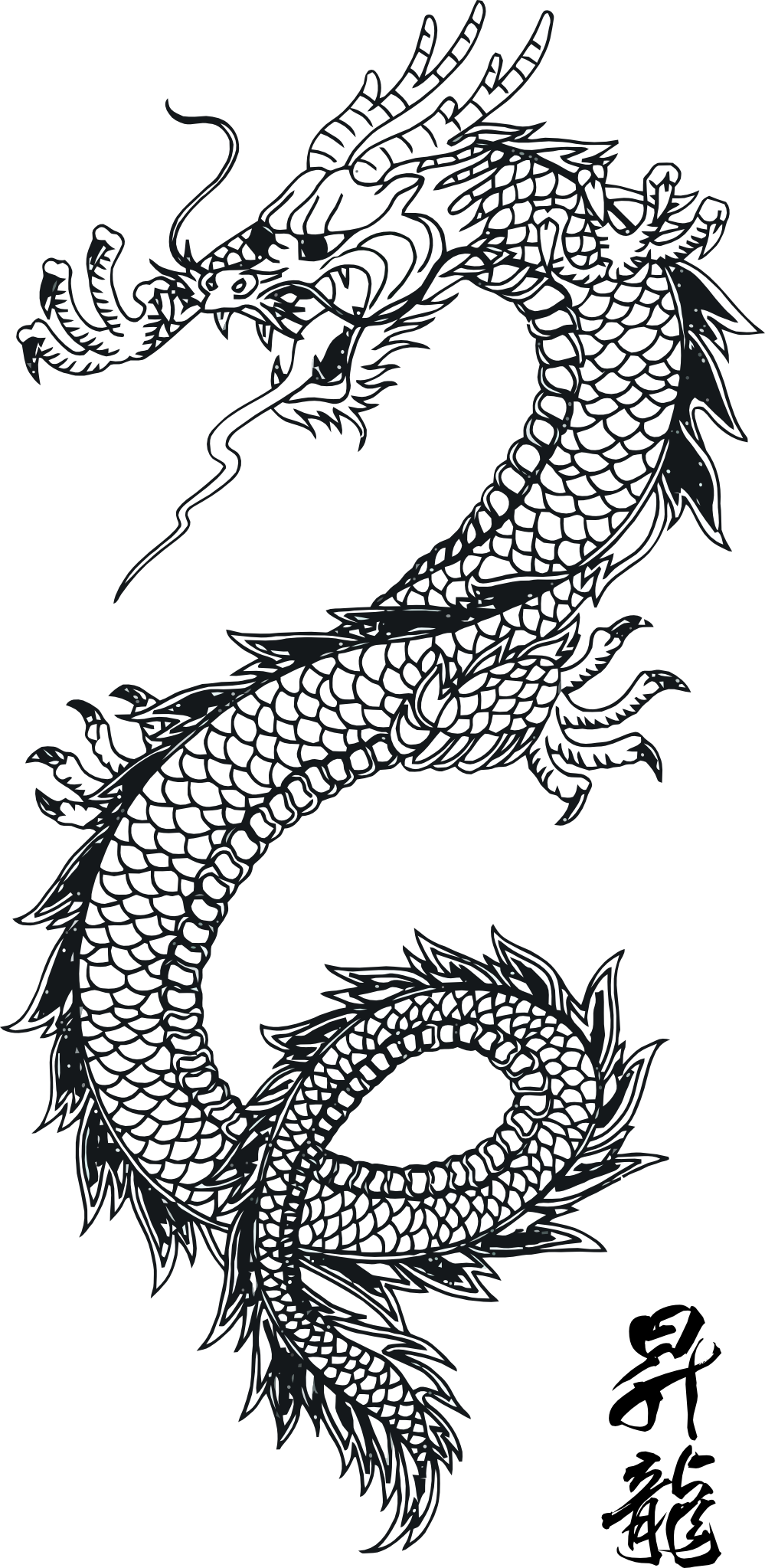 Chinese Dragon Image Black And White 
