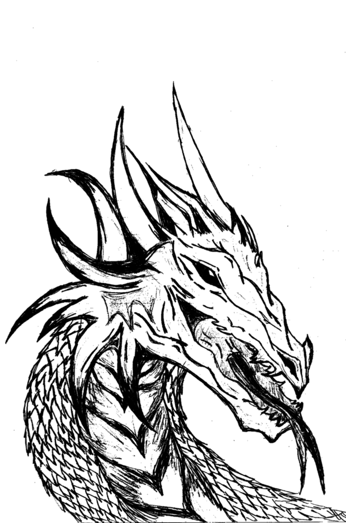 Line Drawings Of Dragons Clipart 