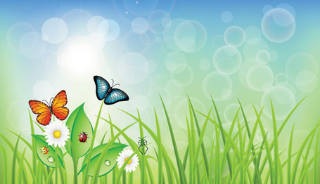 Green Spring Background with Grass  Butterflies 