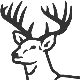 Buck Black And White Clipart 