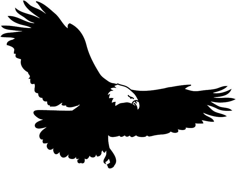 Black eagle clipart 