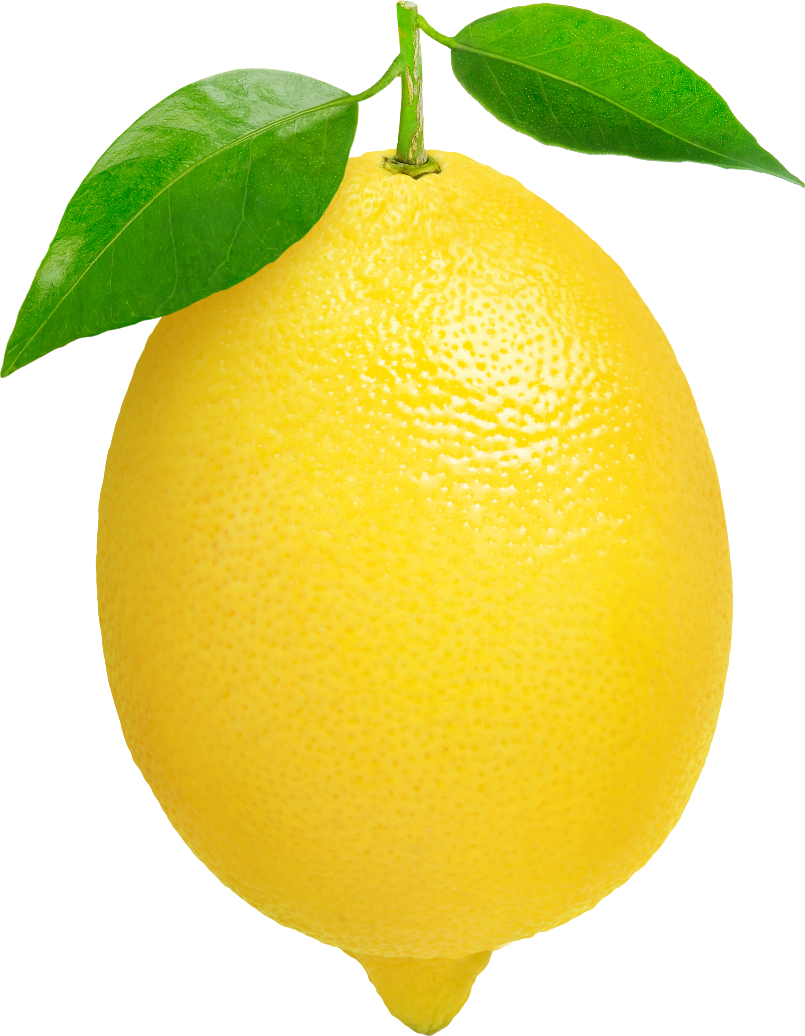 transparent background lemon transparent - Clip Art Library