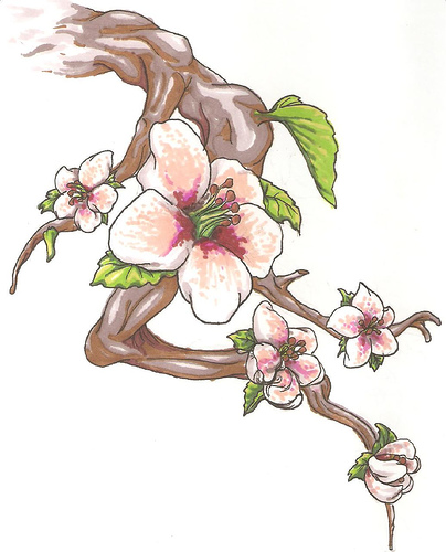 clip art of apple blossom - photo #42