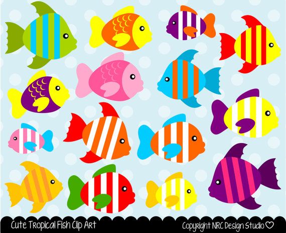 fish designs 