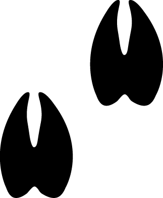 Cow Hooves Clipart 