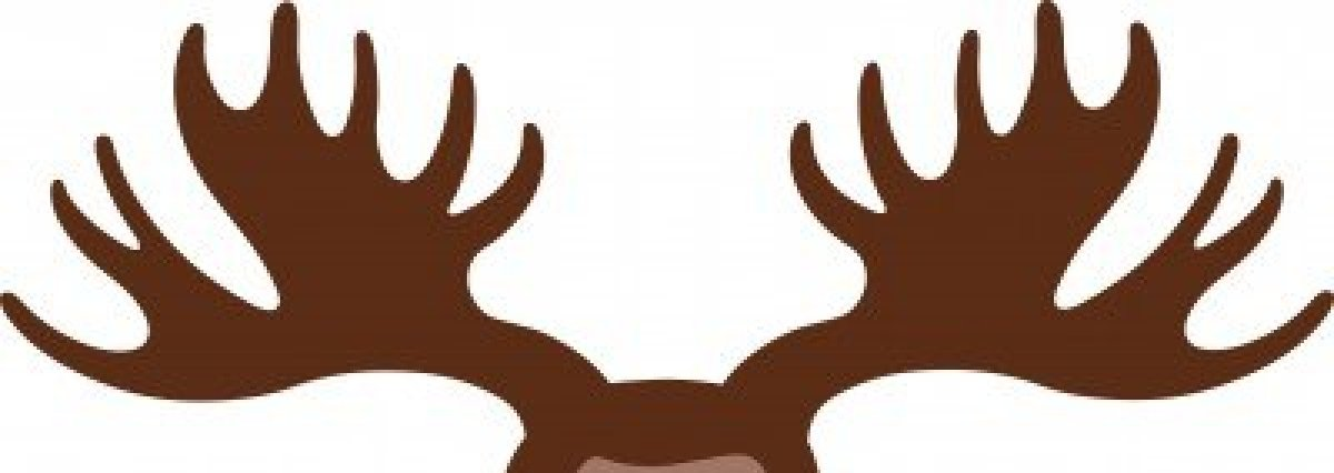 moose antler headband