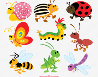 Cute insects clipart 