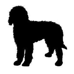 Labradoodle Silhouette 