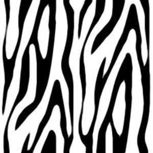 Zebra print clip art 