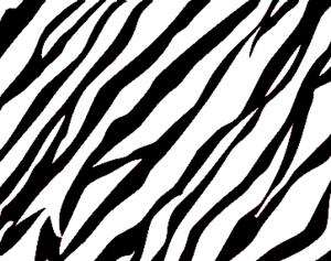 Zebra Print Background 