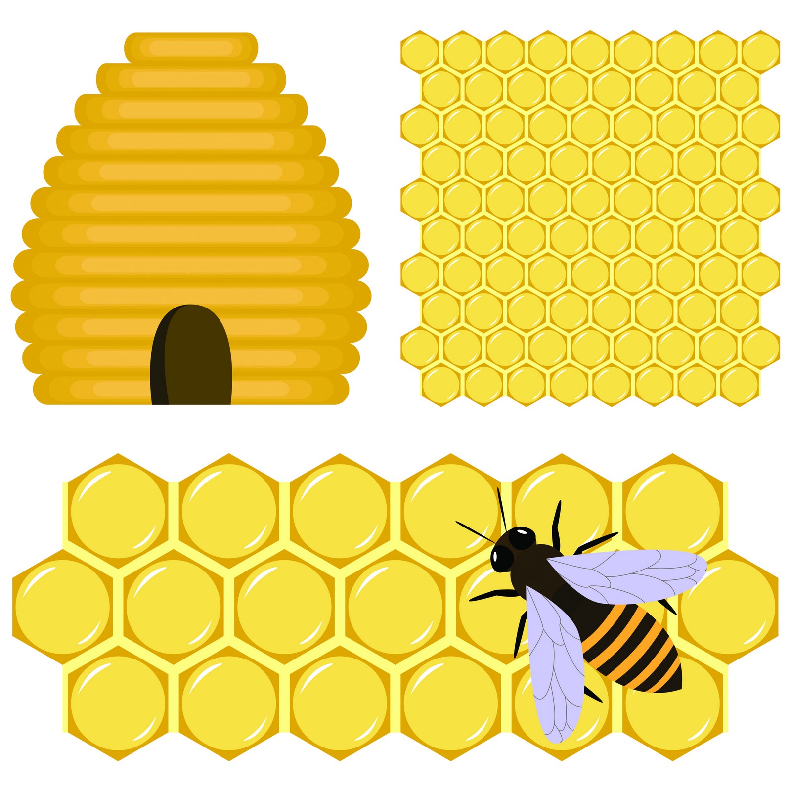 Free Bee Border Cliparts Download Free Bee Border Cliparts Png Images