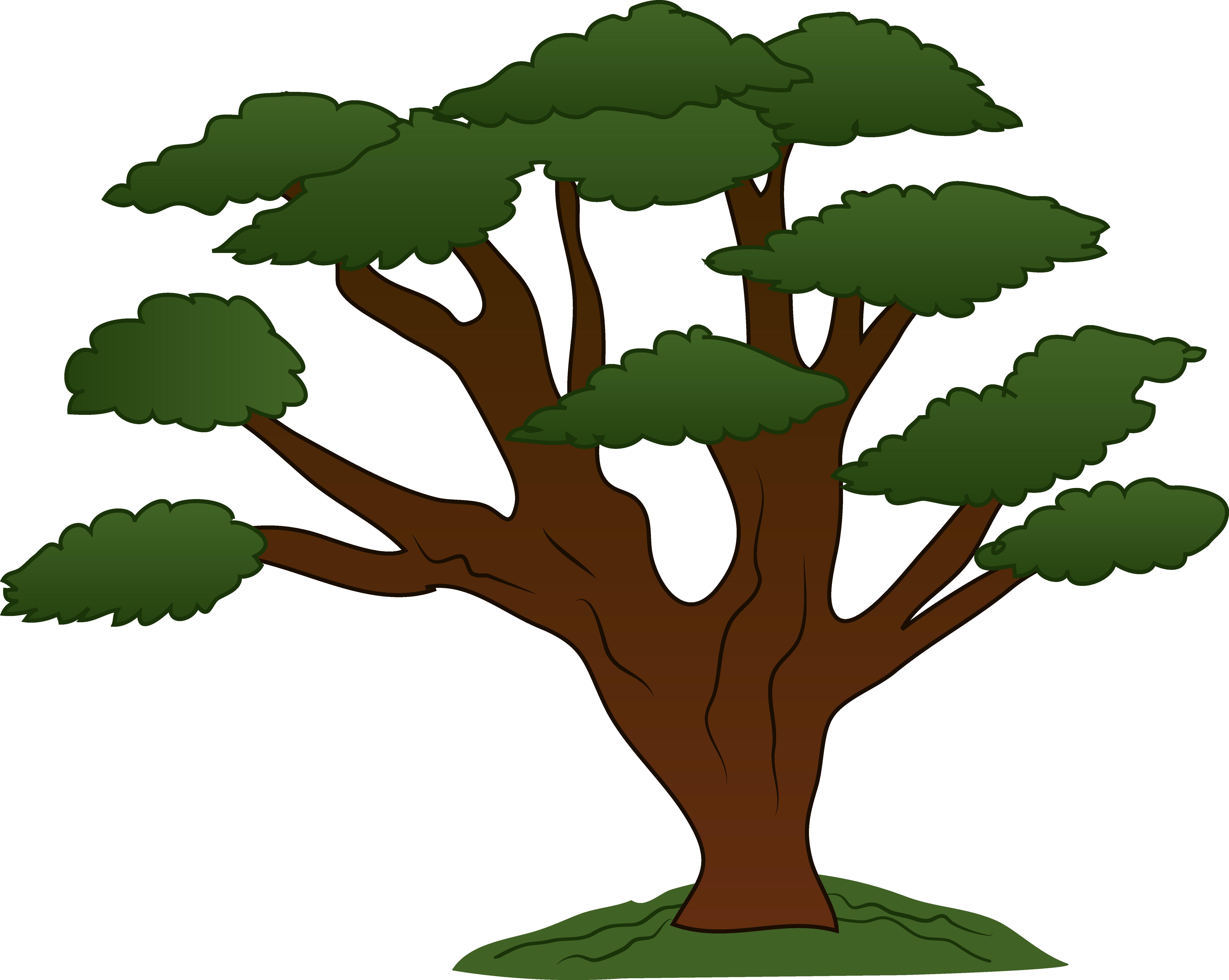 Cartoon Oak Tree 