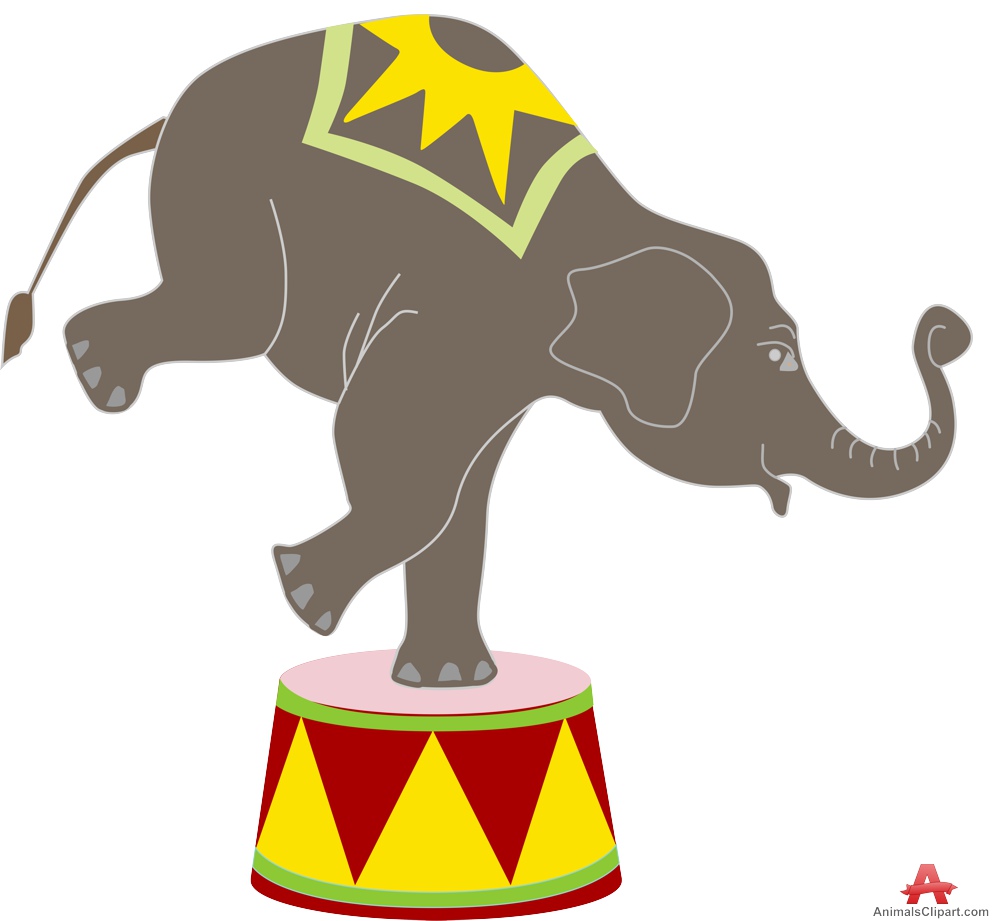 Elephant Standing on One Leg in the Circus 