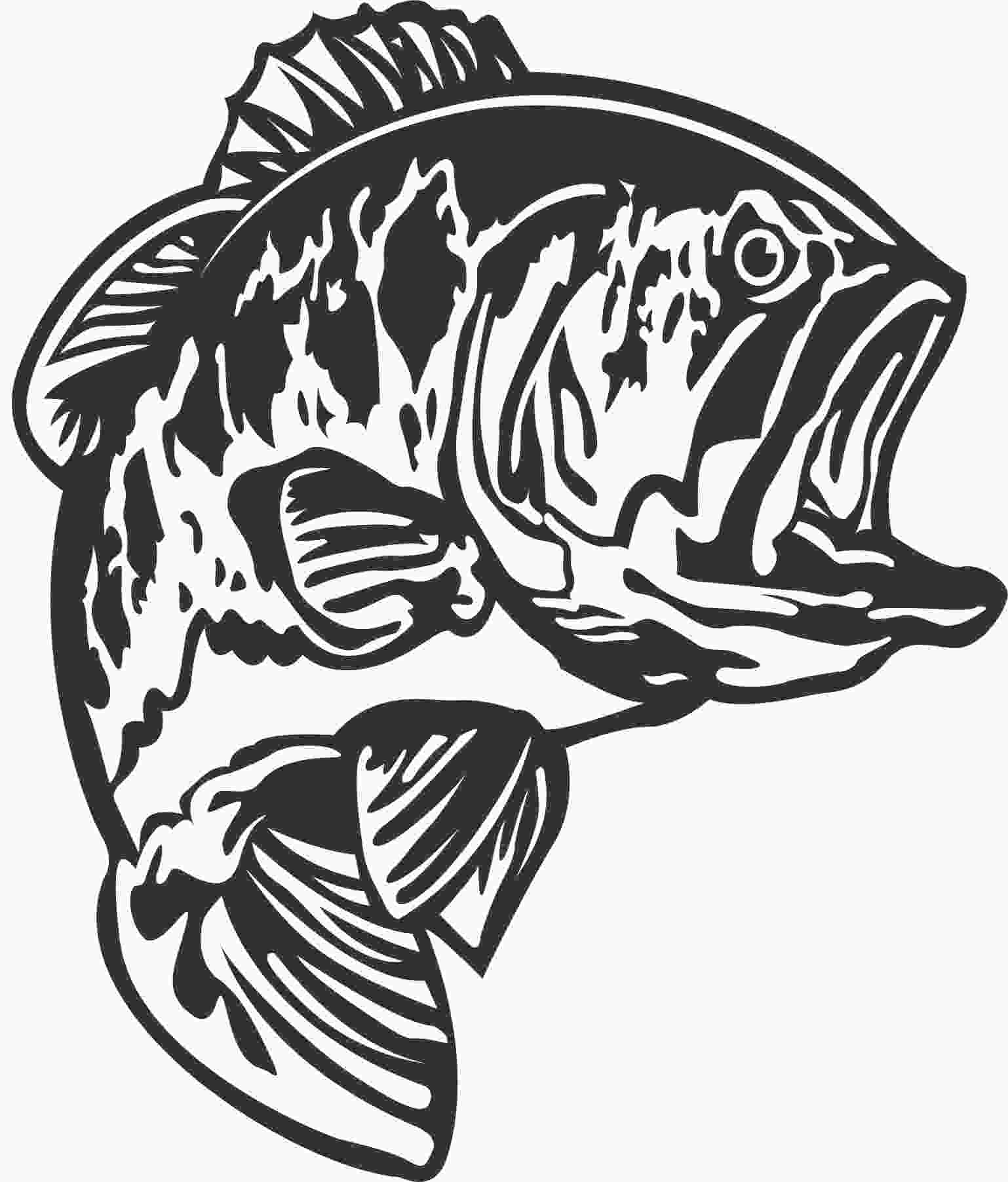 Best Bass Fish Outline 