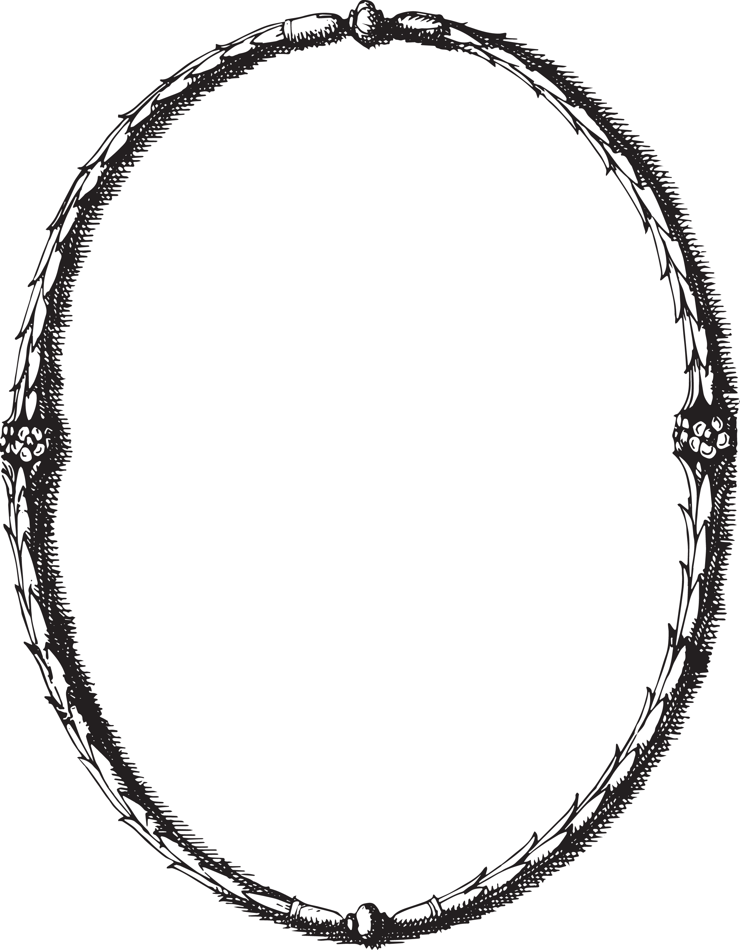 Antique oval frame clipart 