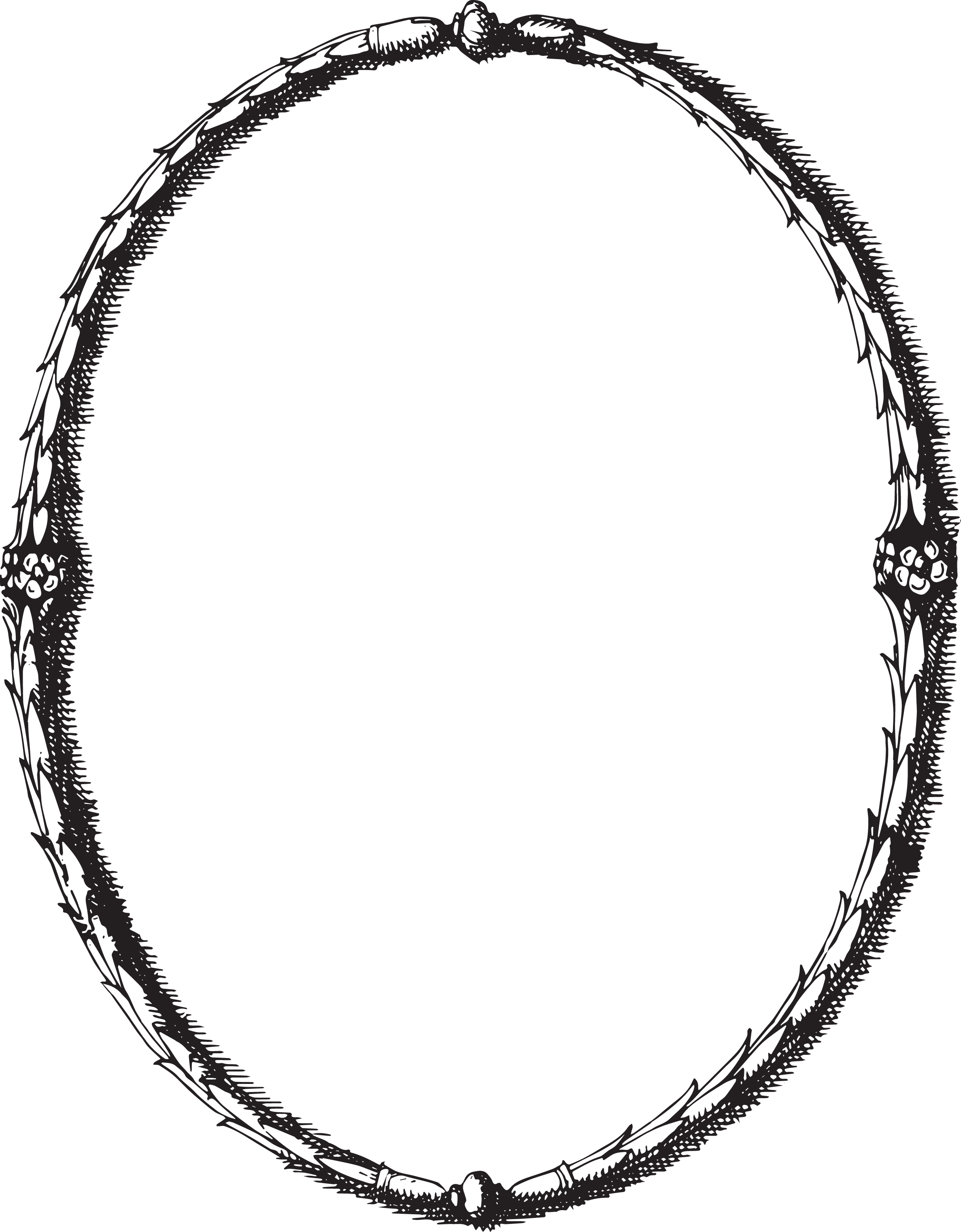 Free Oval Frame Cliparts Download Free Oval Frame Cliparts Png Images 